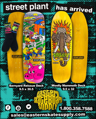 Illustration for article titled Mike V kiszállt az Elephant Skateboardsból 4!44!négy